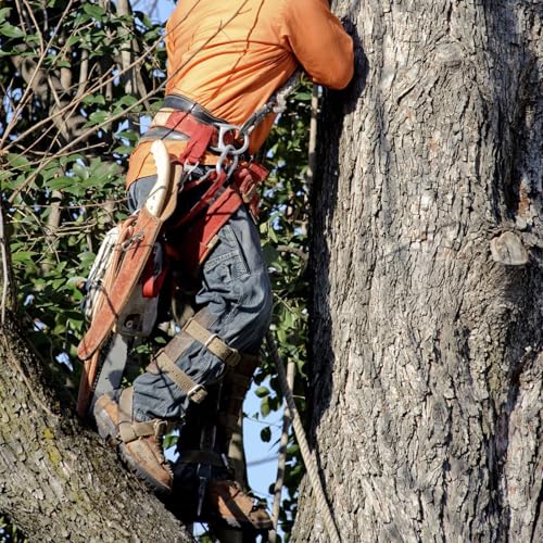 Image of Tree Climbing Gear, Tree Climbing Spikes, Tree Climbing Gear with Adjustable Climbing Straps and Steel Core Flip Line, Rock Climbing Kit with Triple Lock Lanyard Adjuster