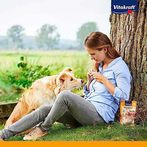 Vitakraft Treaties Bits, Hundeleckerlie, mit Leberwurst, mit hohem Fleischanteil, ideal als Belohnung und Training, ohne Zusatz von Zucker und Getreide (1x 120g)