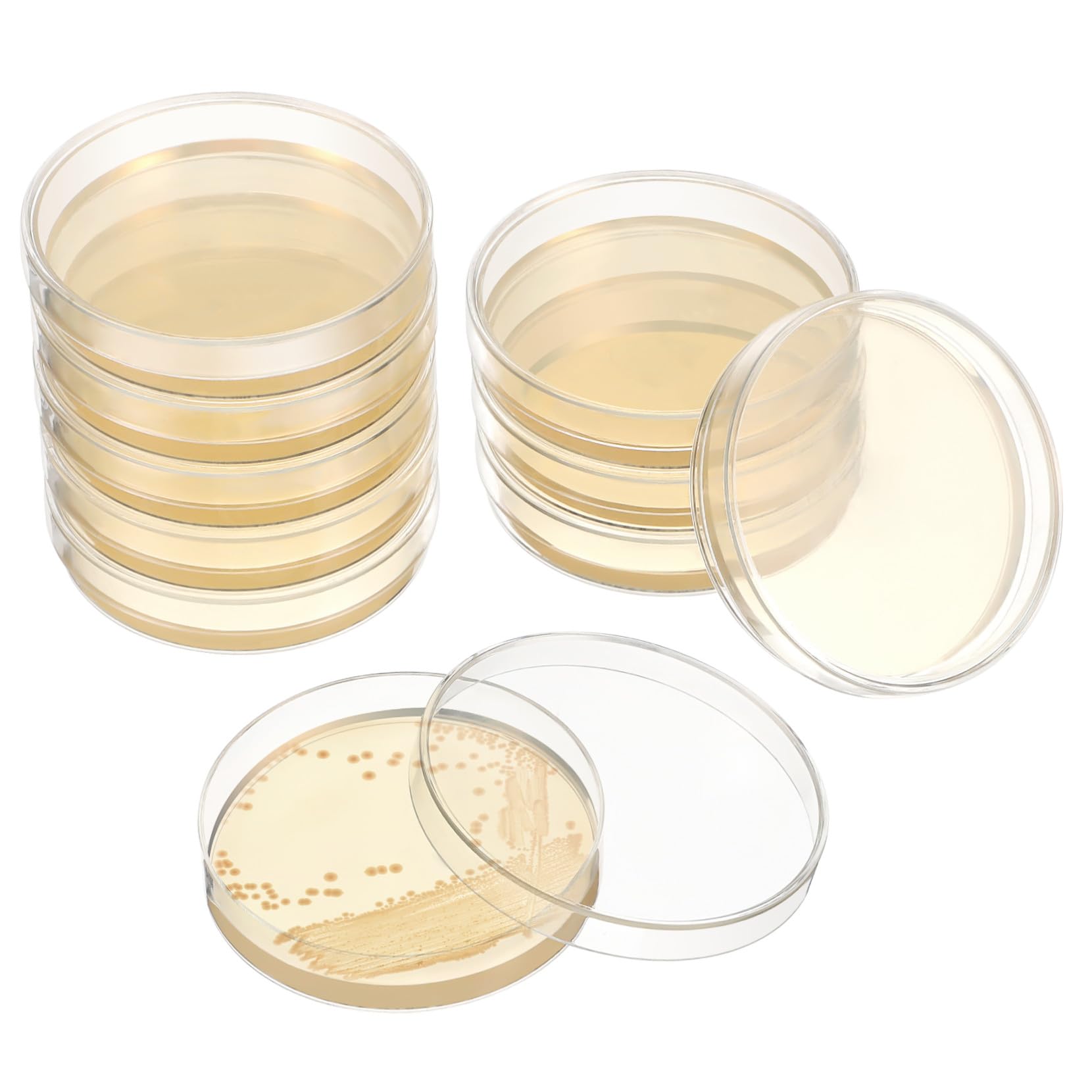 Nähragarplatte 7cm Gebrauchsfertig aus Agar, 20 Stück für Labor