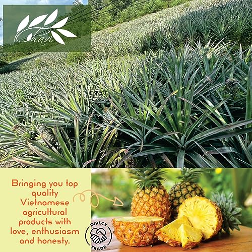 Image of CHAVI Freeze-Dried Pineapple - Pack of 2 x 2 Oz - Healthy 1 Ingredient Superfood Supersnacks - No Added Sugars or Preservatives - Non-GMO, Vegan, Gluten-Free - (2 Packs)