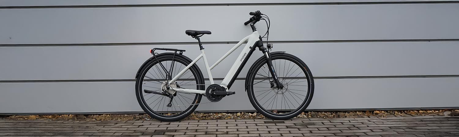 ROPHETE ENTDECKER 5.0 Damen Trekking E-Bike 28" – AEG 250W Mittelmotor, 220 km Reichweite, 10-Gang, Hydraulische Scheibenbremsen, LED-Beleuchtung, Integrierter Li-Ion Akku, Grau/Schwarz