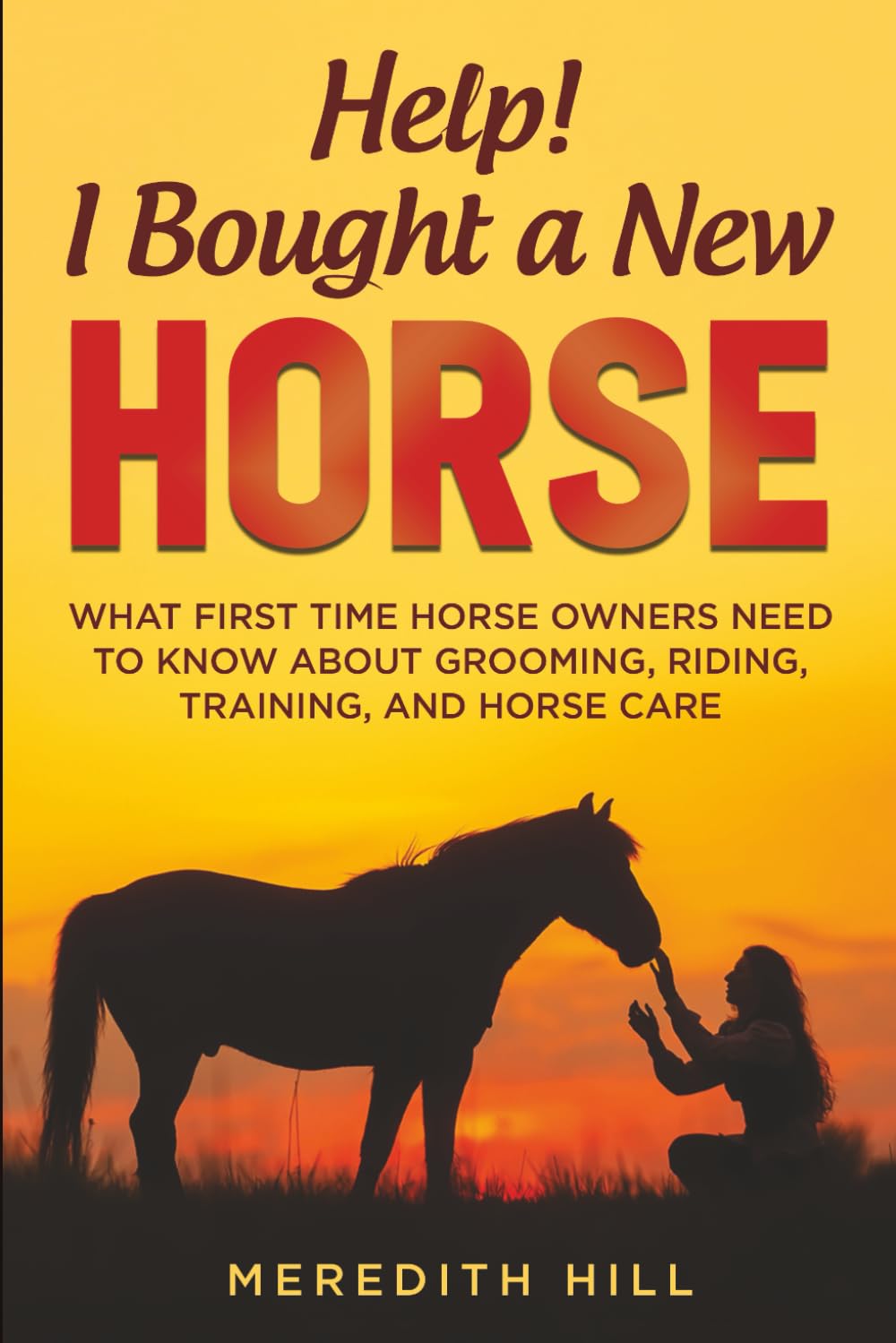 Help! I Bought a New Horse: What First Time Horse Owners Need to Know About Grooming, Riding, Training, and Horse Care