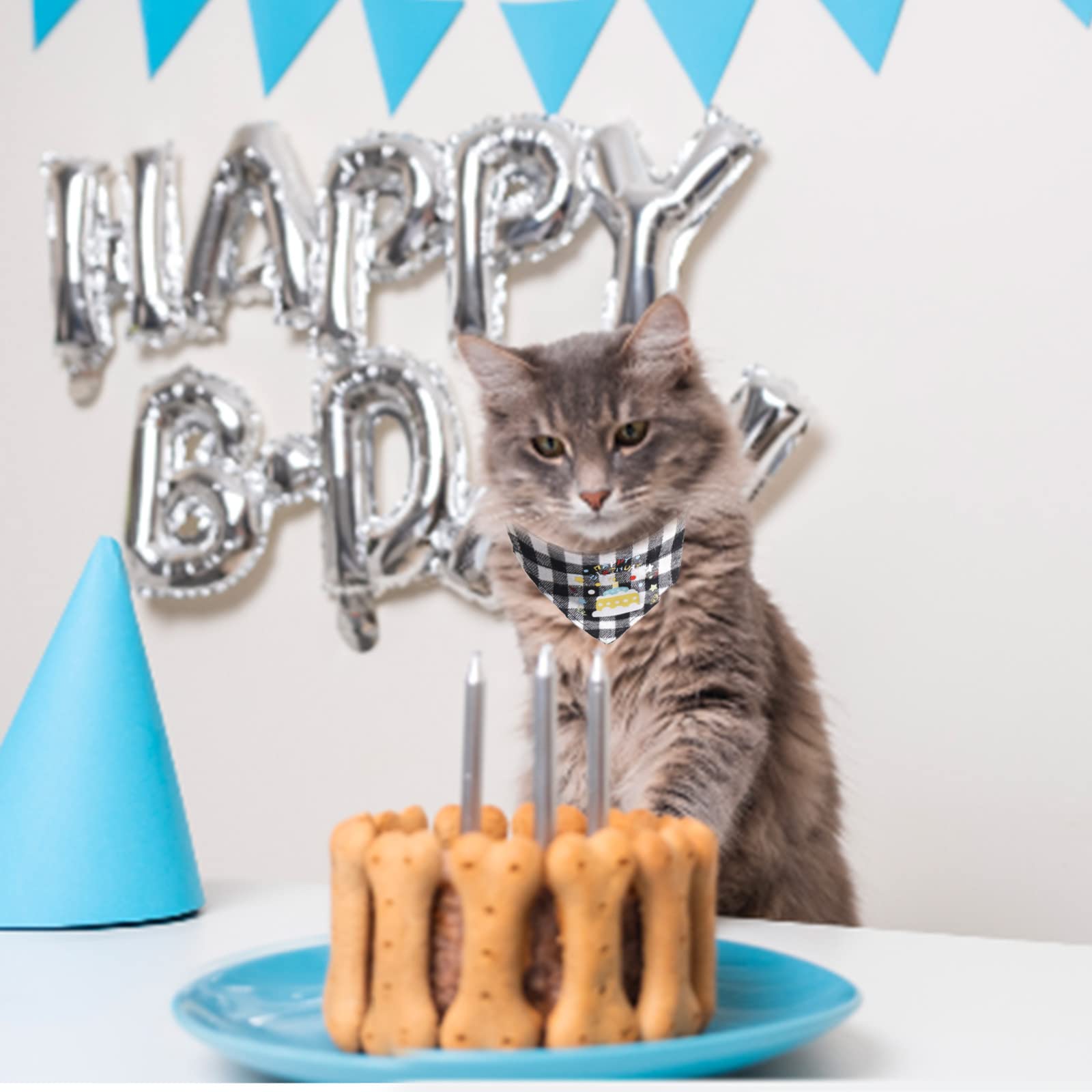 Geburtstags-Outfit Für Katzen & Hunde – Mit Hut, Halstuch, Fliege & Halsband