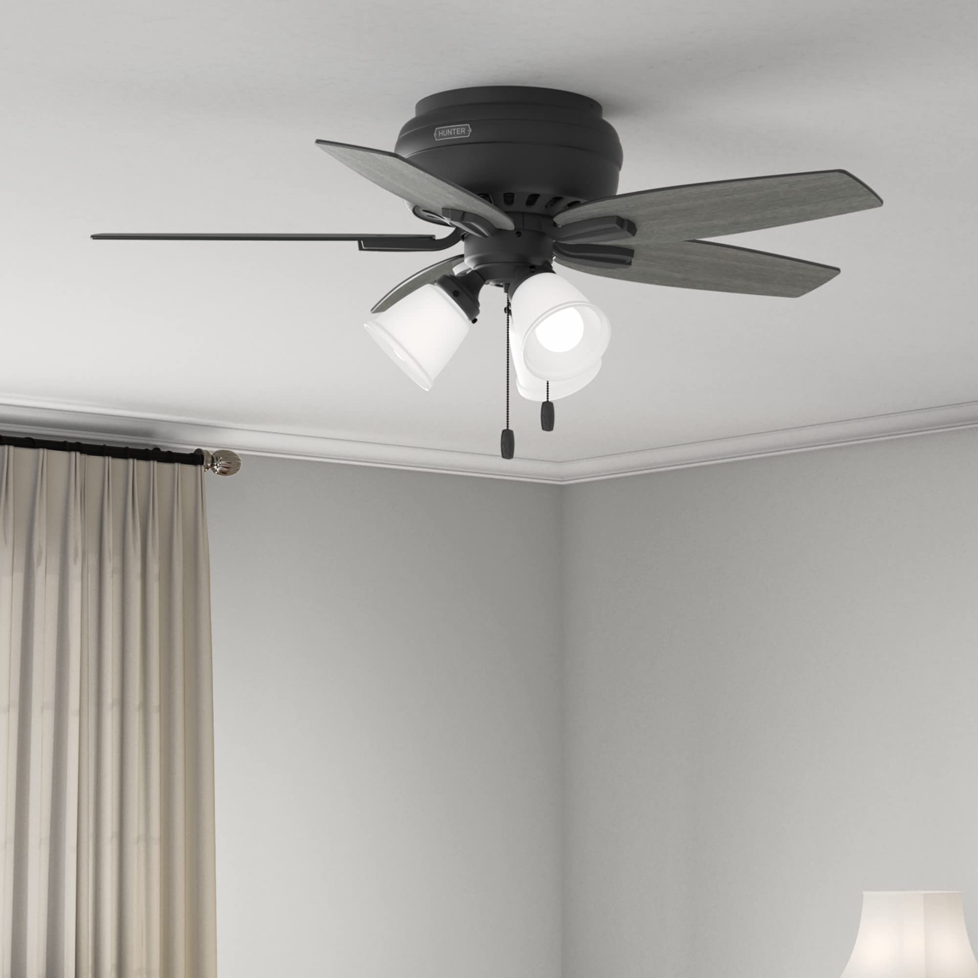 Hunter Fan Company 52393 Newsome Ceiling Fan, Matte Black