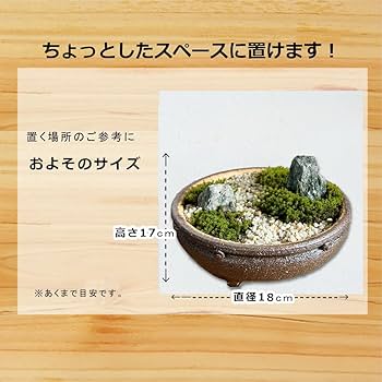 Amazon.co.jp: 小さな世界で雄大な景色を【苔盆栽(信楽焼鉢)】 : DIY Amazon.co.jp: 小さな世界で雄大な景色を【苔盆栽(信楽焼鉢)】 : DIY