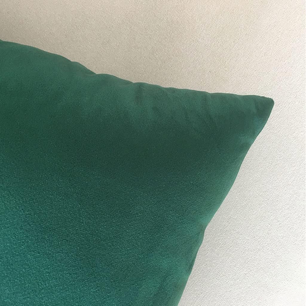 HBJWOV Cushion Cover Super Soft Throw Pillow Sofa Decorative 45 * 45cmLiving Room Home Decor