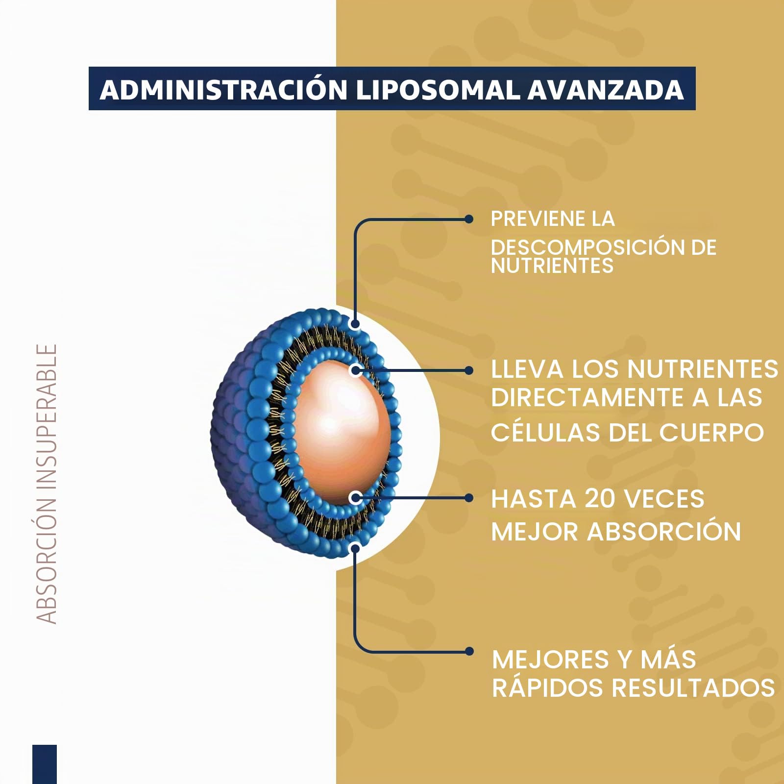 Liposomal NAD+ 500 mg con TMG 250 mg cápsulas blandas, suplemento NAD+ actual para la reparación celular y el metabolismo energético(60 Unidad (Paquete de 3))