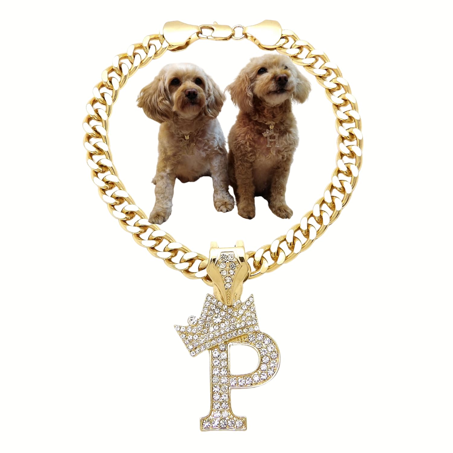 Initial Letter Cuban Chain Dog Chain Pet Chain Pet, Cat, Puppy Necklace (P, 12")