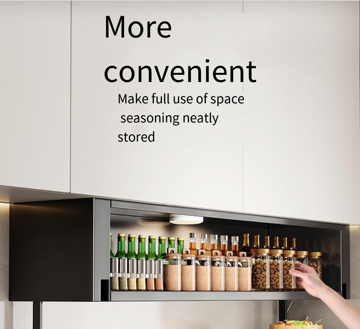 2 Tier Pull-Out Cabinet Organizer, Drop Down Shelf Dish and Spice Rack, Wall Cabinet Storage Organizer with Door and Handle, Cabinet for Kitchen(80cm)