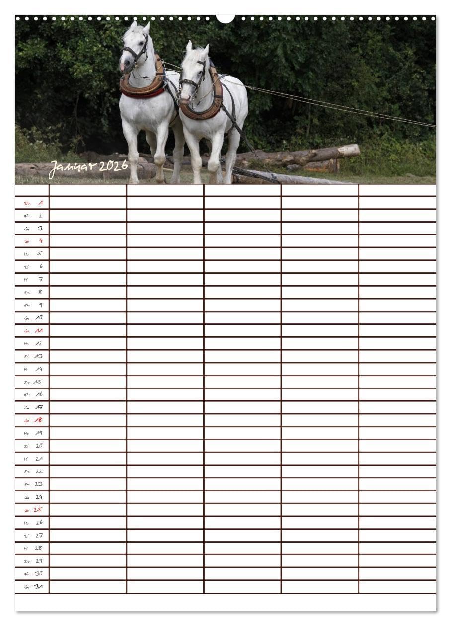 Der Kaltblut-Familienplaner (Wandkalender 2026 DIN A2 hoch), CALVENDO Monatskalender: Der Kaltblutkalender für die ganze Familie (CALVENDO Tiere)