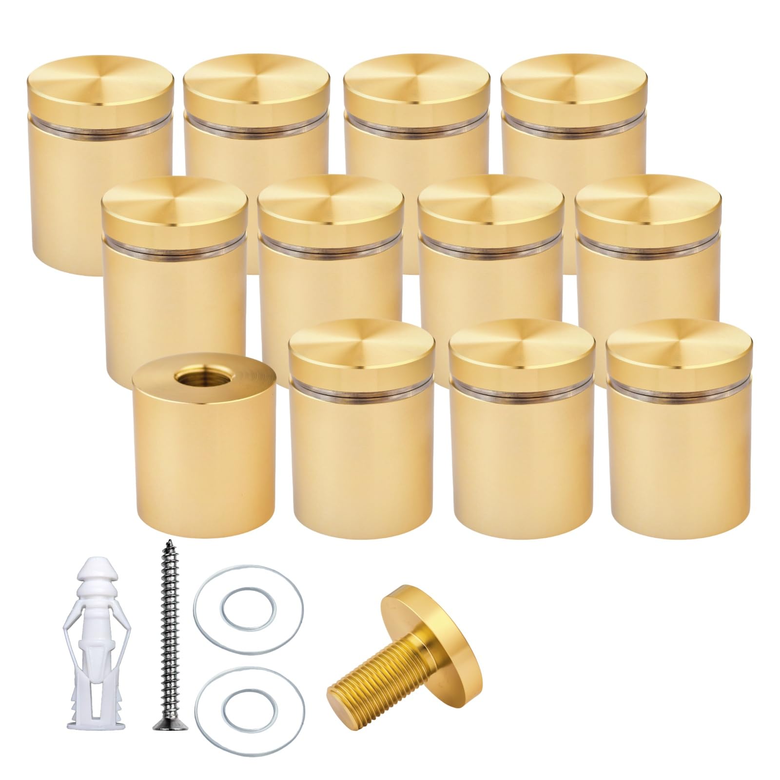 Pack of 12 Aluminum Standoff Fixings, Sign Standoff Screws Wall Mount Advertisement Fixings Bolts for Sign Displays, Sign Support Wall Mount (Champagne, 25mm Dia x 25mm H)
