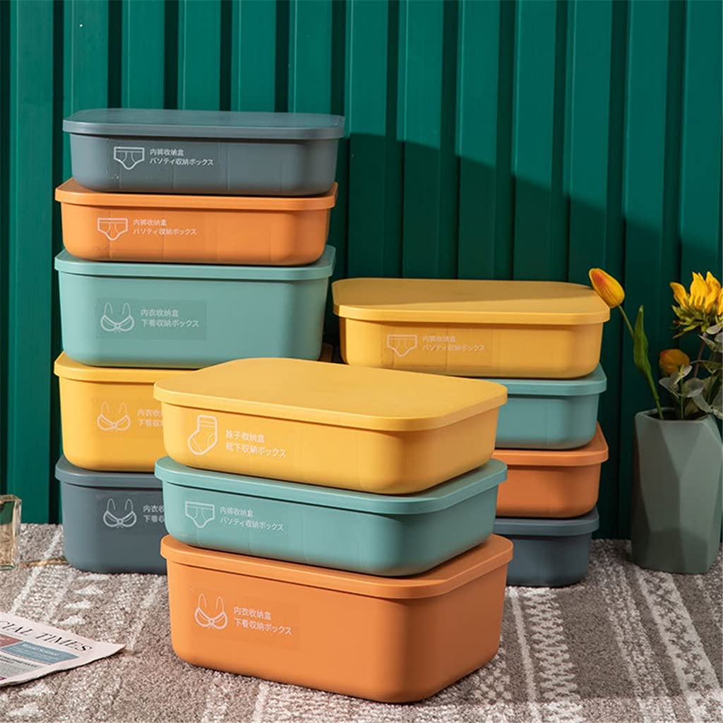 Set di 3 Pezzi Scatola portaoggetti per Biancheria Intima Calzini per cassetti Reggiseno Guanti Organizer per Armadio Organizer per cassetti per Biancheria Intima (A 3)