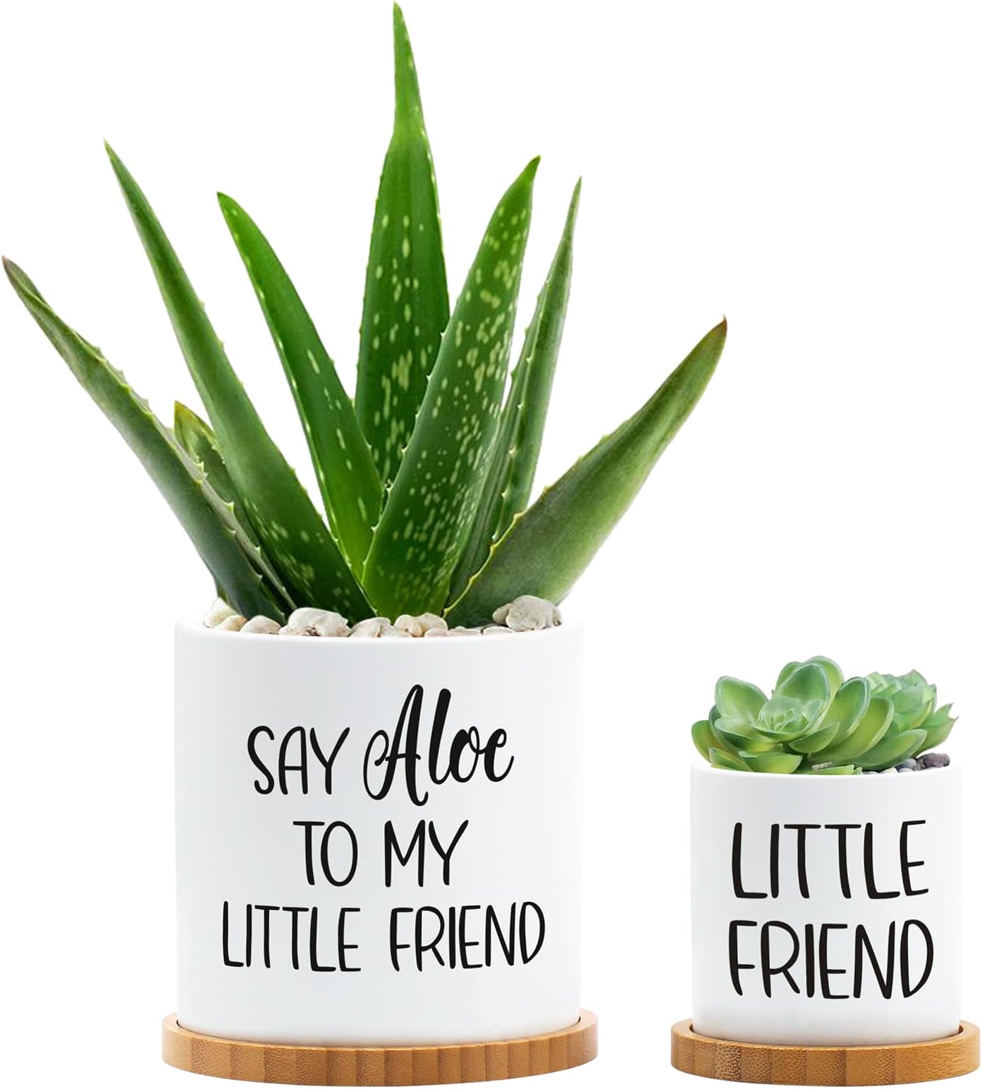 Tuitessine Say Aloe to My Little Friend Planter Plant Lover Set of 2 Spring Funny Pun Flower Pot with Bamboo Tray Ceramic Indoor Succulent Hole Spring Birthday Housewarming Gifts (No Plants)