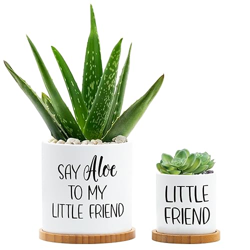 Tuitessine Say Aloe to My Little Friend Planter Plant Lover