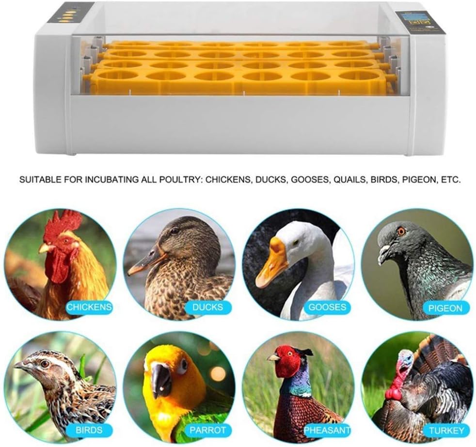 Automatic Egg Incubator - 24 Chicken Egg Incubator Temperature Control Hatching Equipment - Chicken Duck Birds EU Plug/US Plug