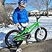 RoyalBaby Freestyle Kids Bike 14 Inch Childrens Bicycle with Training Wheels Toddlers Boys Girls Beginners Ages 3-5 Years, Green