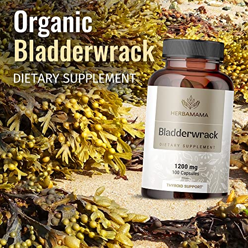 Herbamama Bladderwrack Capsules - Organic Bladderwrack Powder Supplement - Dr Sebi Bladderwrack Leaves Pills 1200Mg, 100 Caps #TOP5