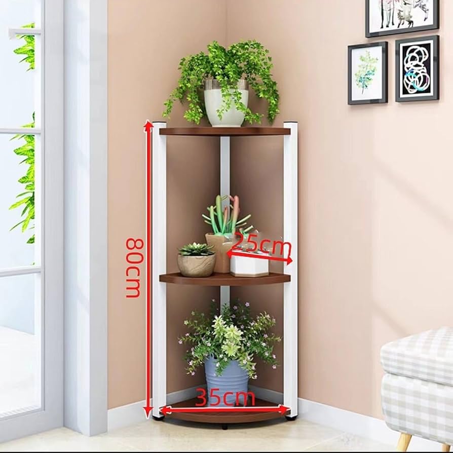 61FytsJBUqL._AC_UF894,