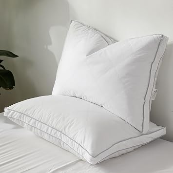 Dreamhood Luxury Goose Feather Down Pillow Queen Size Set of 2 - Made in USA Gusseted Hotel Bed Pillows, Medium Firm Feather Down Pillow for Back