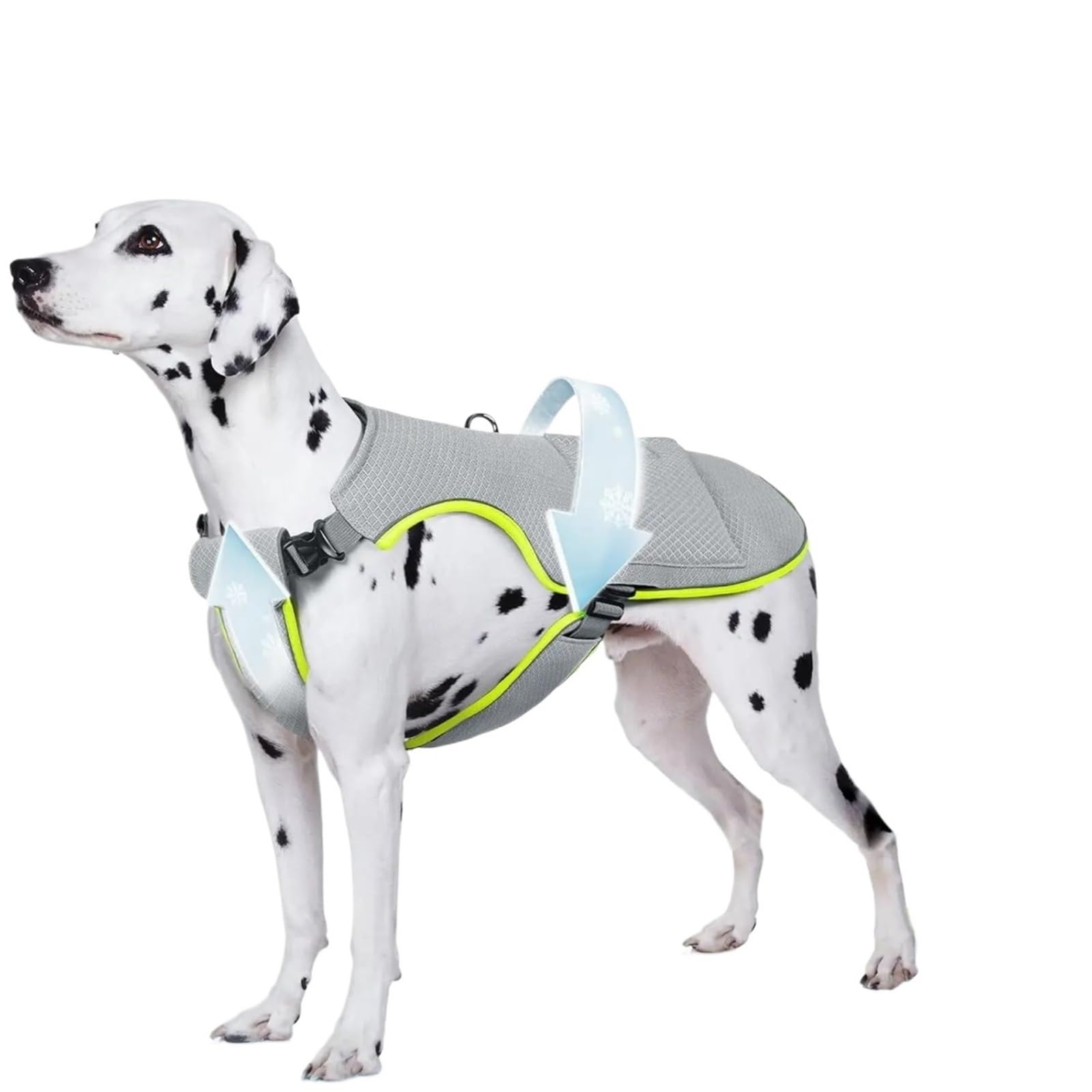 Gilet de refroidissement 2 en 1 pour chien avec gel pour 4 heures et plus de 4 heures, bandes réfléchissantes réglables pour soulager la chaleur estivale