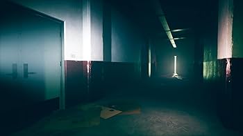 【2本セット品】DreadOut2☆新品☆女鬼橋二 釋魂路 Amazon.co.jp: 女鬼橋二 釋魂路(メキキョウニ シャクコンロ