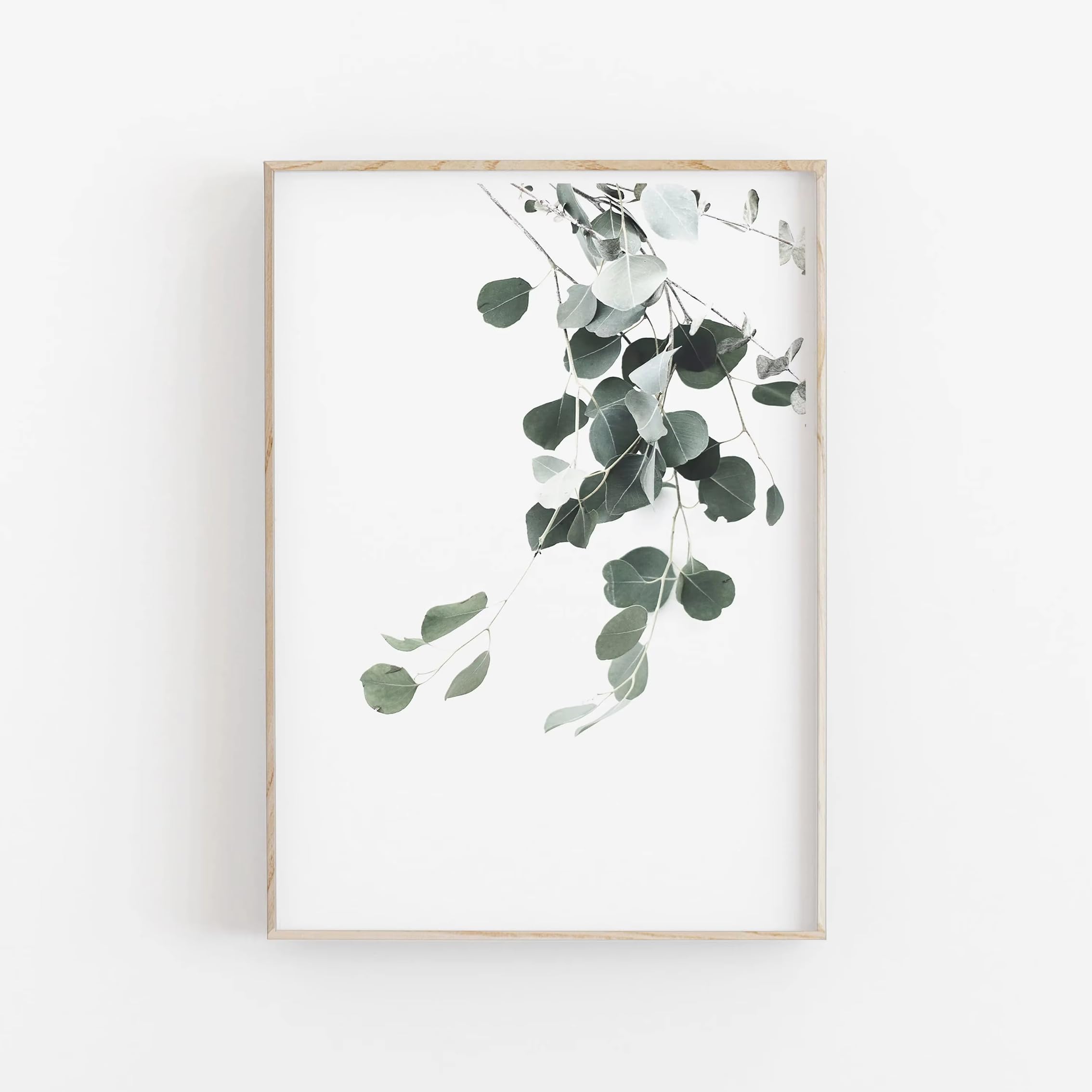 DFZEWKI Minimalist Nordic Botanical Poster Canvas Painting for Living Room Home Decor(30x40cm(12x16in)/No frame)