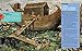 The World of the Bible: Biblical Stories and the Archaeology Behind Them