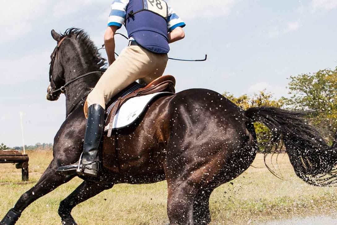 Paldoxen - Liquid Energy Supplement for Relief of Fagitue in Older Horses and Energy for Racing for Younger