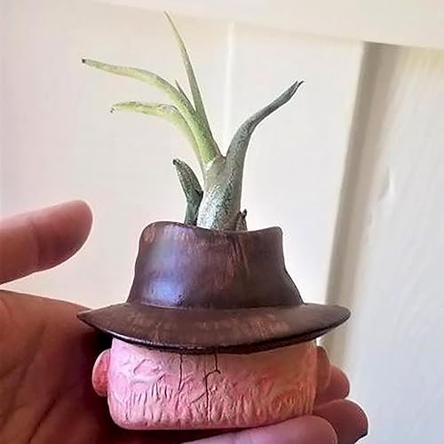 Miniatura 3 de Macetas de película de terror, macetas de cabeza aterradora, mini macetas lindas para suculentas, jarrón divertido con agujero de drenaje para