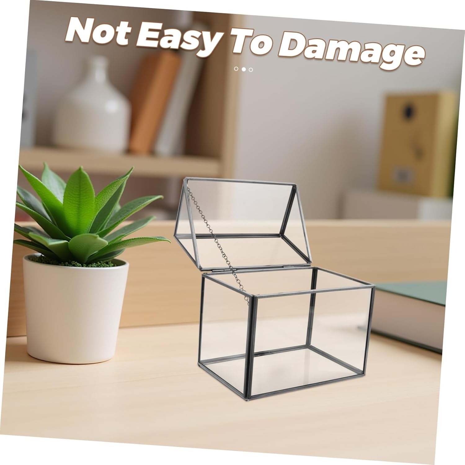 Cabilock Glass Geometric Terrarium for Air Plants House Shaped Tabletop Greenhouse Centerpiece Unique Decorative Display Box for Home Garden Office for Gifting Special Occasions