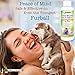 Vet Recommended Ringworm Solution for Dogs (4oz/120ml) - Concentrate Makes Two 16oz Bottles of Spray. Make Your Dog Ringworm Free. Made in USA