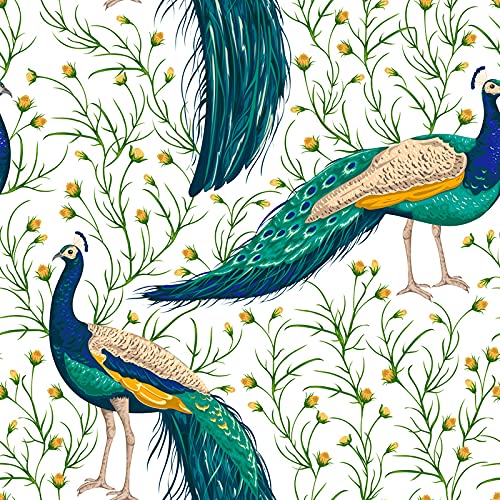 Papier peint oiseaux paon 152x104cm haut de gamme texture latex - 3