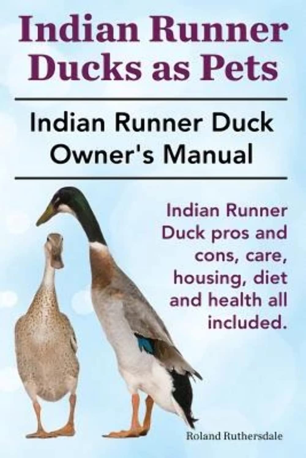 Indian Runner Ducks as Pets. Indian Runner Duck pr: The Indian Runner Duck Owner's Manual. Paperback – 2 October 2014