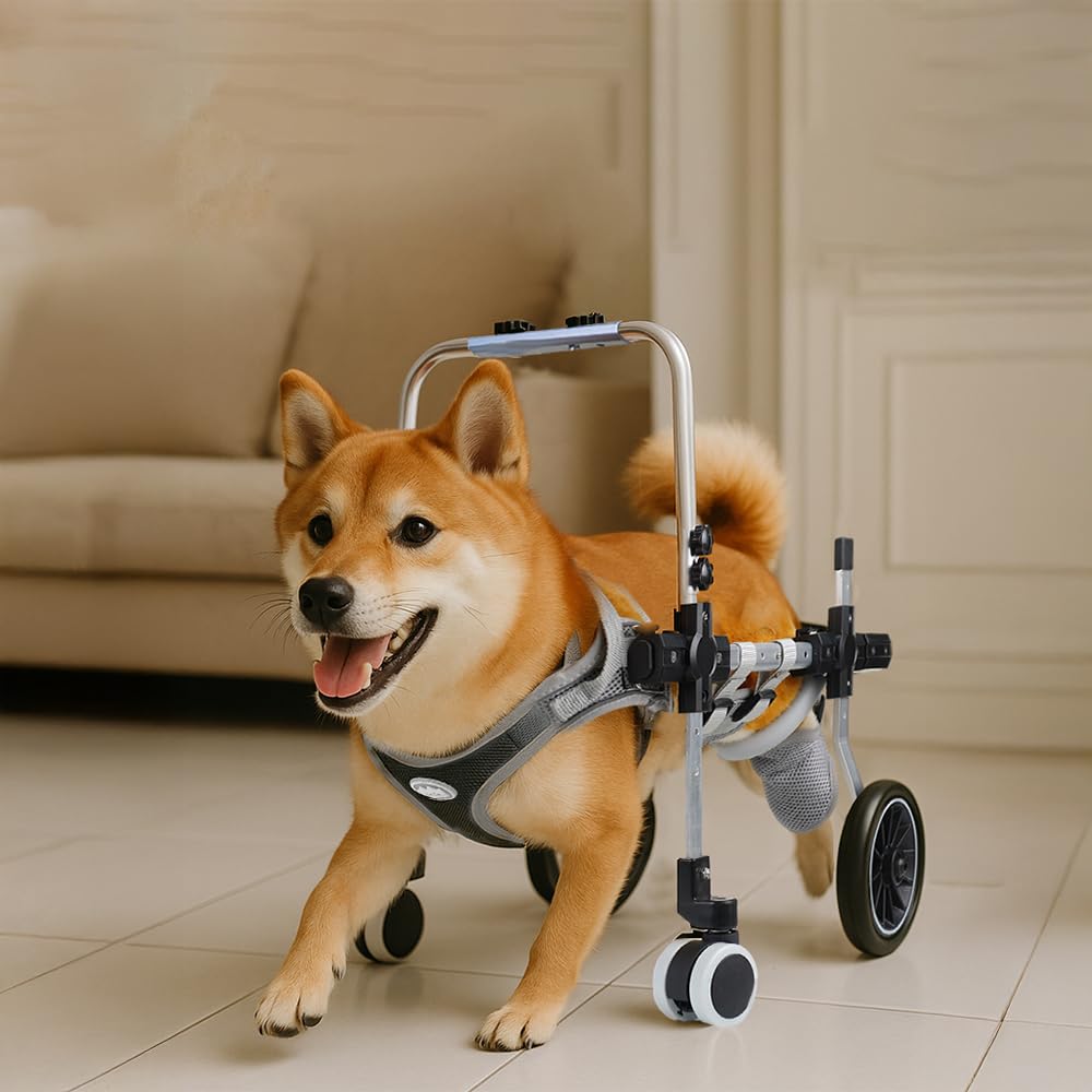 Amazon.co.jp: 犬用車椅子 四輪 軽量 安定設計 歩行補助 ペット