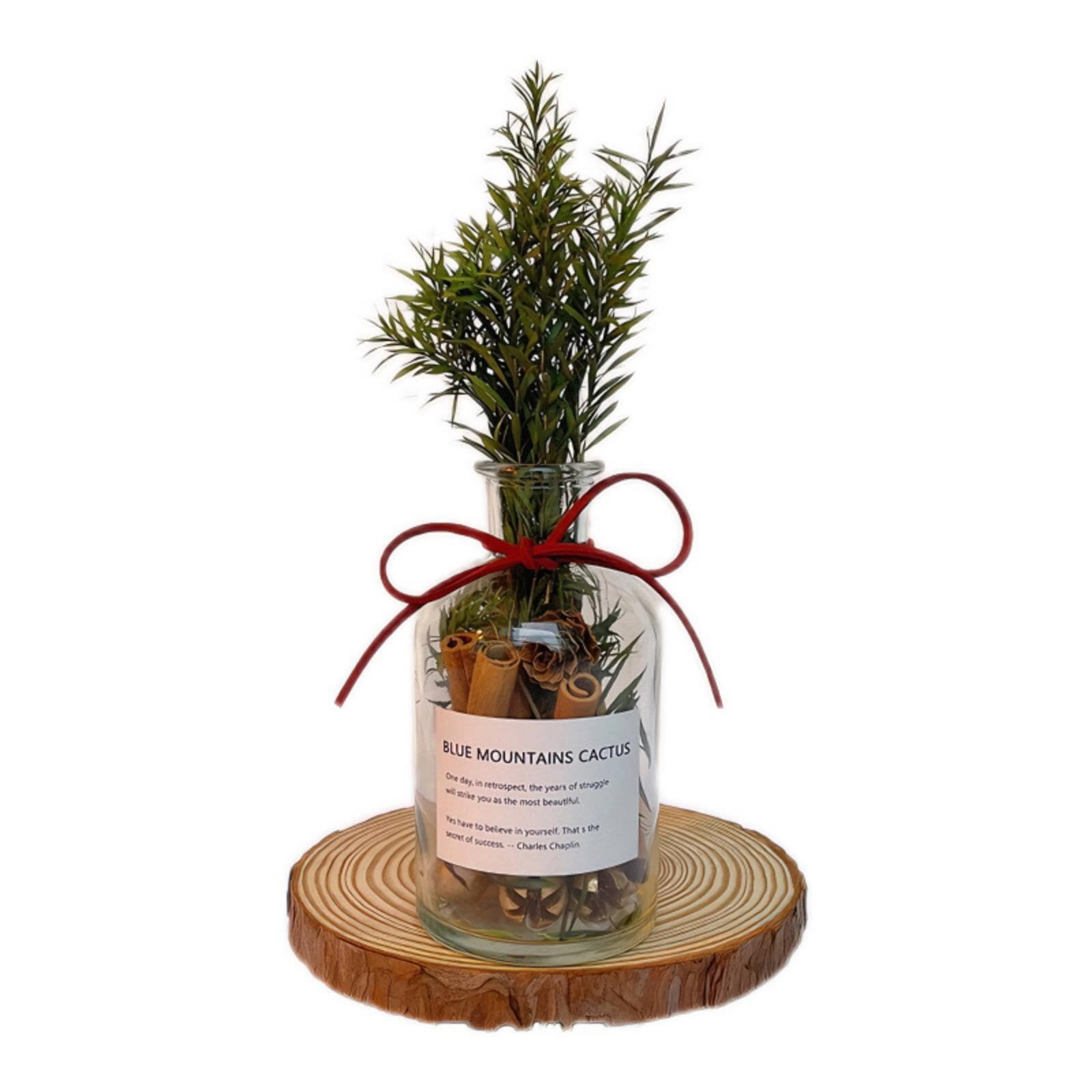 Cinnamon Attracts Money Ornaments,Office Decorations, Housewarming Necessities, KCR-002