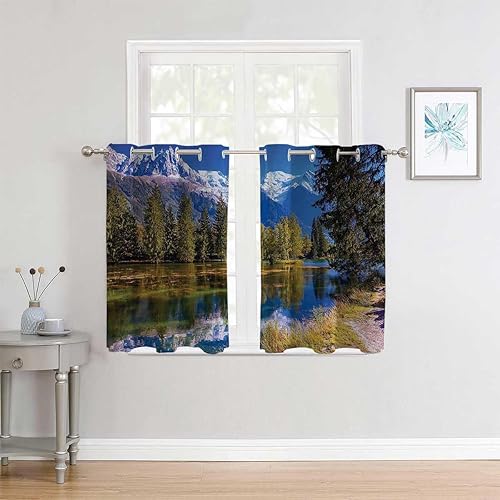 Cortinas para Cocina - Divisores de cortina para puerta de montaña, 55 pulgadas de ancho por 55 pulgadas de largo, 2 paneles