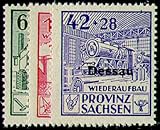 Goldhahn Markenqualität Goldhahn Deutsche Lokalausgabe Dessau Nr. I-III postfrisch ** Briefmarken für Sammler