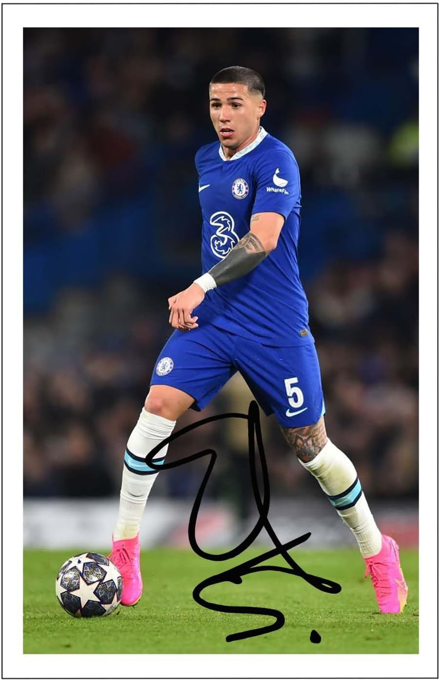 RJR PRINTS Enzo Fernandez - Chelsea Signed 12x8 Inch Photo Print Pre Printed Signature Autograph Football Gift