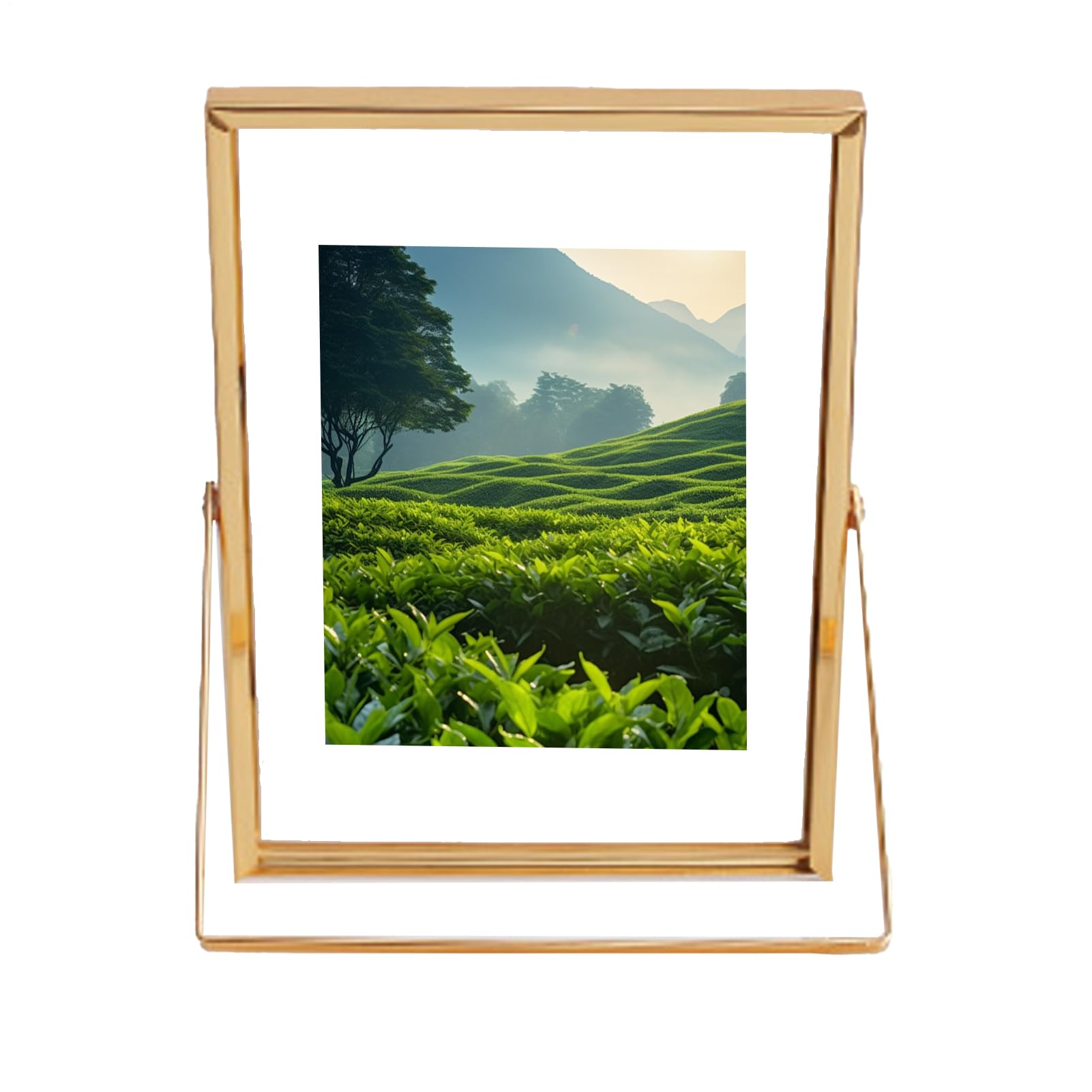 Cadre photo en métal 20,3 cm : design moderne chic pour salon