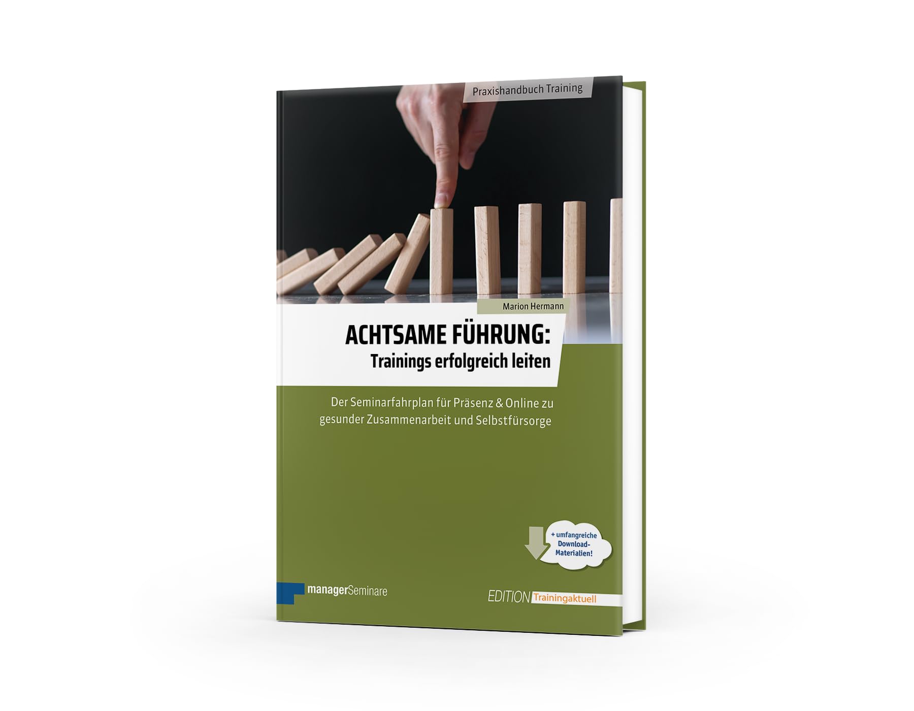 Achtsame Führung: Trainings erfolgreich leiten: Der Seminarfahrplan für Präsenz und Online zu gesunder Zusammenarbeit und Selbstfürsorge (Edition Training aktuell)