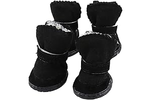 Tiny Tot Footwear: Winter Warmth for Yorkshire Terriers
