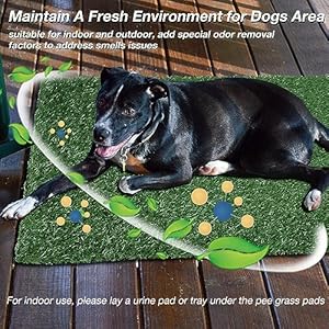   Dog-Grass-Pee-Pad-2-Packs-Replacement-Artificial-Grass-Patch-for-Potty-Tray-Reusable-Puppy-Training-Turf-Mat-High-Drainage-23-x-18-Inches