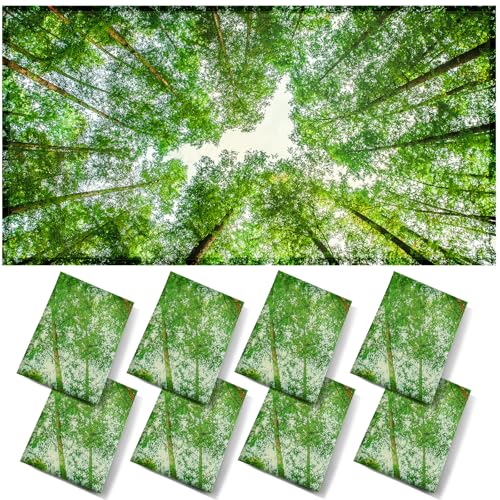 Image of ANGSYLTH 8 Pcs Fluorescent Light Covers - 4 x 2 Feet Covers for Ceiling Lights, 8 x 10 Magnetic Light Filters for Classroom, Office, Hospitals (Spring & Forest)