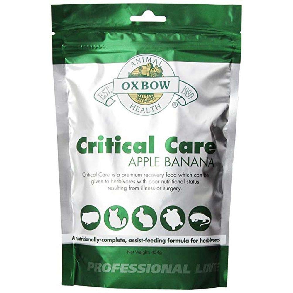 Oxbow Animal Health Critical Care, Herbivore, Apfel-Banana-Geschmack, 141 g Beutel