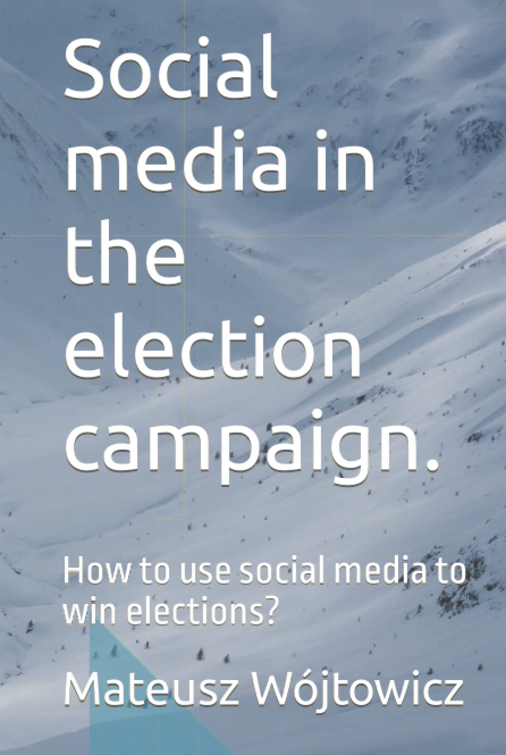 Social media in the election campaign.: How to use social media to win elections? (How to win the election?)