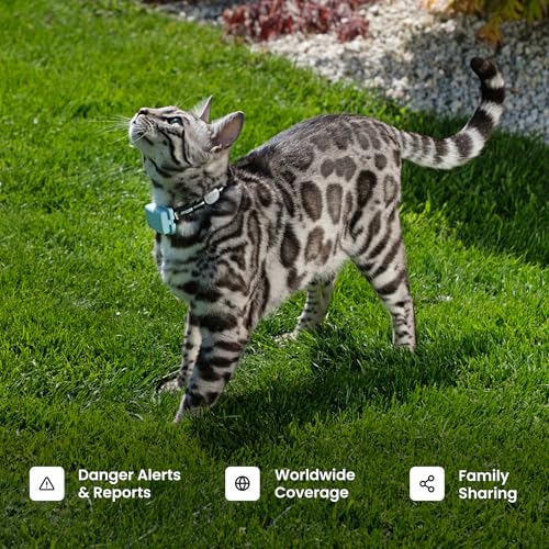 Tractive XL GPS Dog Tracker (50 lbs+) | Real-time Pet Location Tracker | Health & Wellness Alerts | Virtual Fence for Dogs | Dog Collar Attachment - Image 9