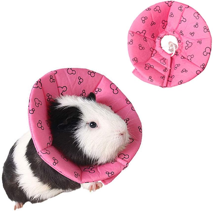 hamster collar