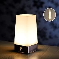 Vista 6 de GOOTHY Paquete de 12 bombillas LED T13 de repuesto, bombillas LED E12 impermeables de 0.6W para luces de cadena de patio al aire libre S14 G40 C7