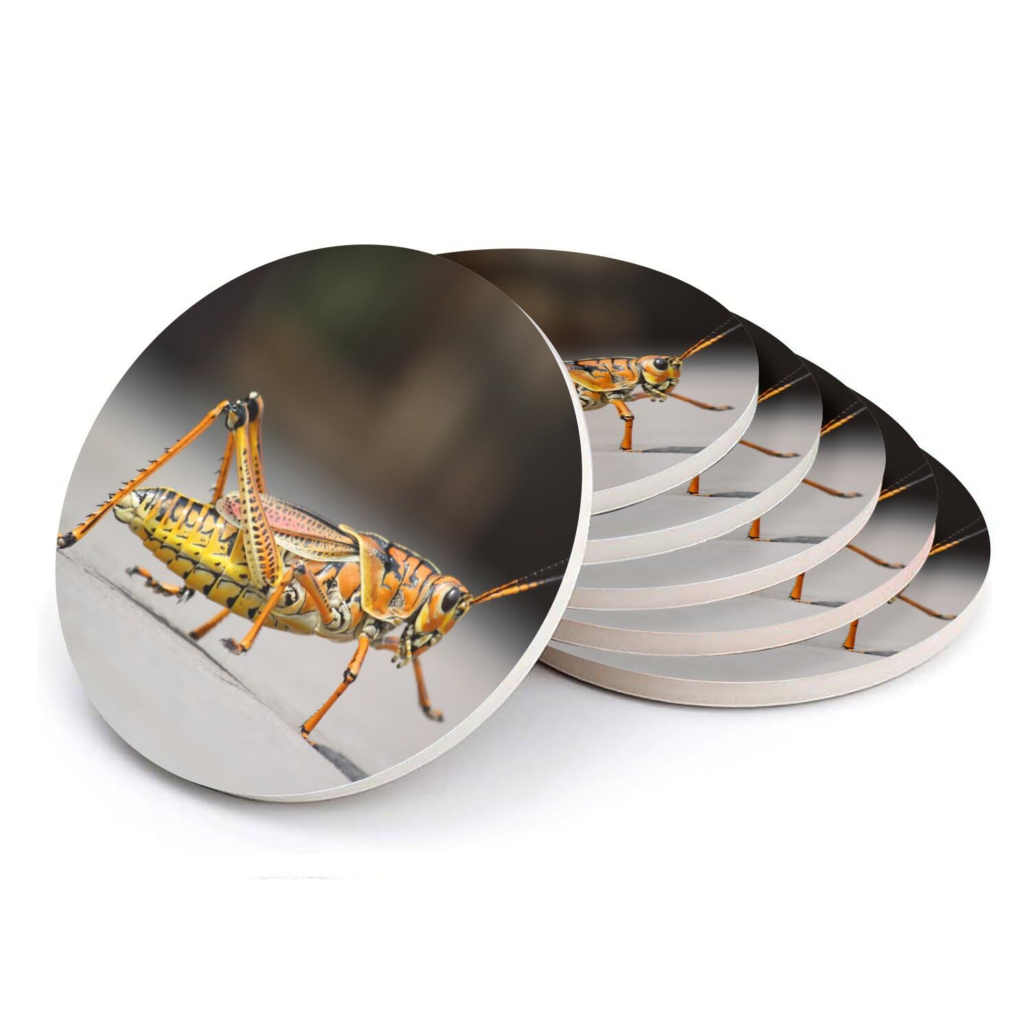Sous-verre céramique sauterelle lot de 6 cadeau original nature