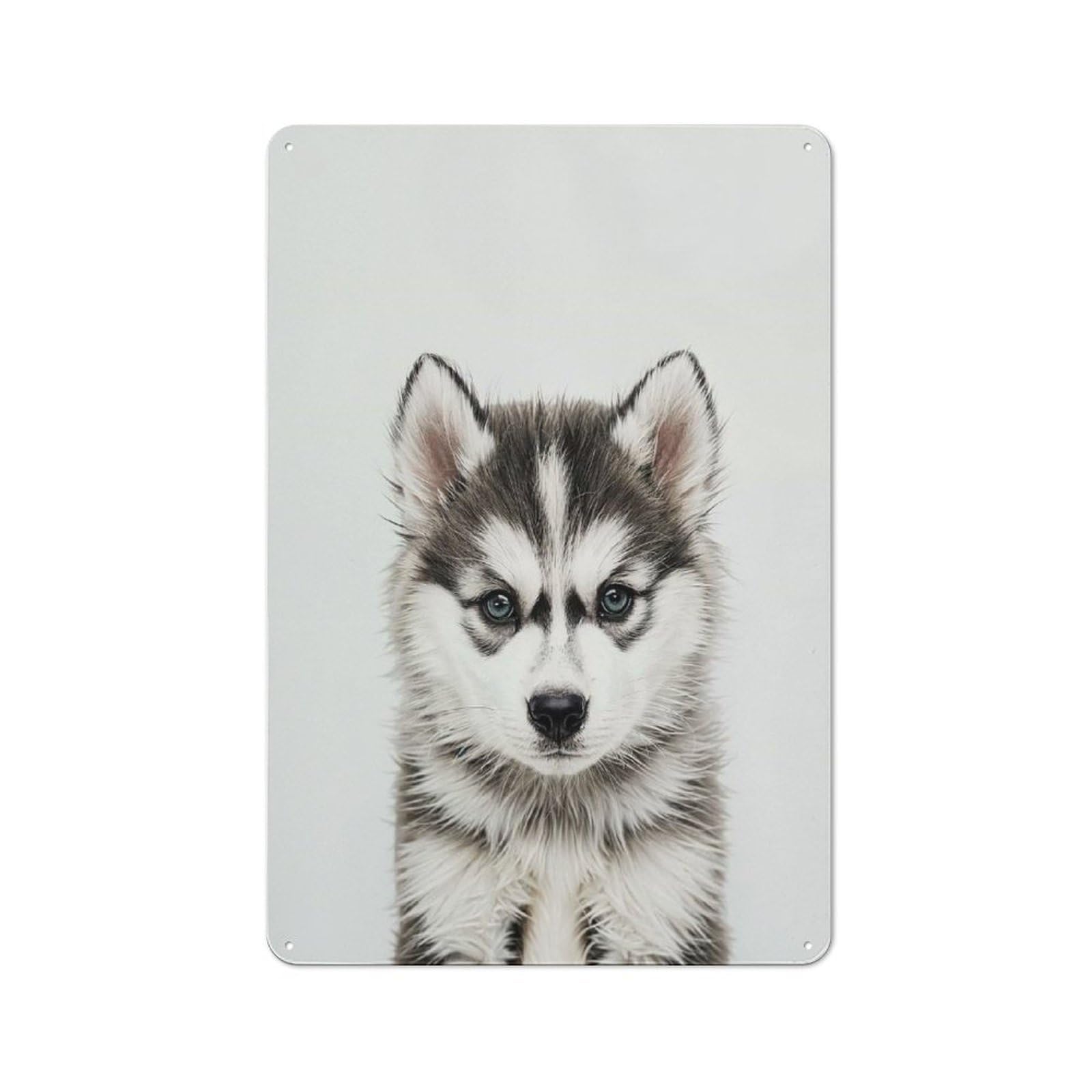 Junmoney Style-5 For Living Room Or Hallway, Cute Baby Husky Vintage Metal Plaque 30X20cm, For Vintage Wall Decor Fans, For Metal Sign Collectors
